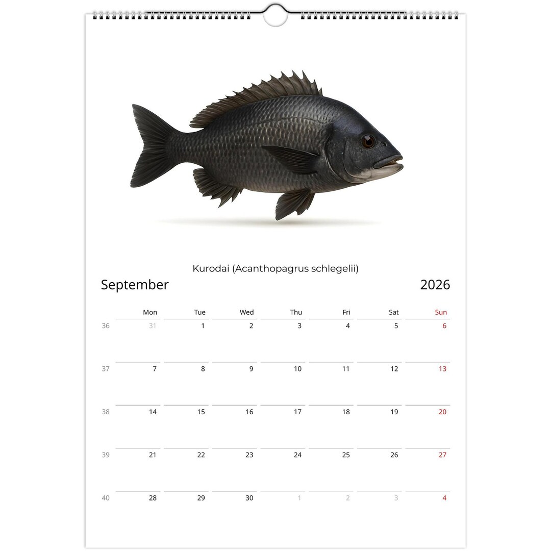 Fish Calendar 2026 – Japanese Freshwater & Coastal Fish | Wall Calendar ...