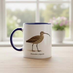 Storspovmugg (Numenius arquata) – Tryckt på båda sidor | Elegant illustration | Keramisk kaffemugg | Tål maskindisk