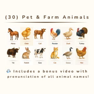 30 tarjetas didácticas realistas de mascotas y animales de granja – PDF imprimible de alta resolución – Inspiradas en Montessori – Tarjetas educativas de acuarela