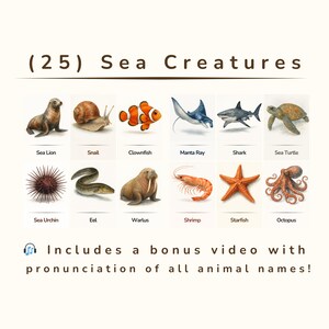 25 realistische flashcards voor zeedieren – afdrukbare pdf met hoge resolutie – op Montessori geïnspireerde oceaandieren – educatieve kaarten aquarel