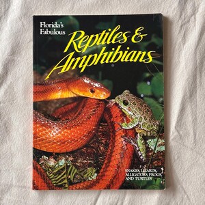 May include: A softcover book titled Florida's Fabulous Reptiles & Amphibians. The cover features a photograph of a bright orange snake coiled near a green speckled frog. The text reads Florida's Fabulous Reptiles & Amphibians, Snakes, Lizards, Alligators, Frogs, and Turtles.