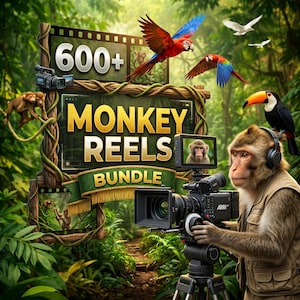 May include: A digital illustration features a monkey operating a professional video camera. The image includes the text "600+ MONKEY REELS BUNDLE" on a sign, with parrots and a toucan in a lush jungle setting.