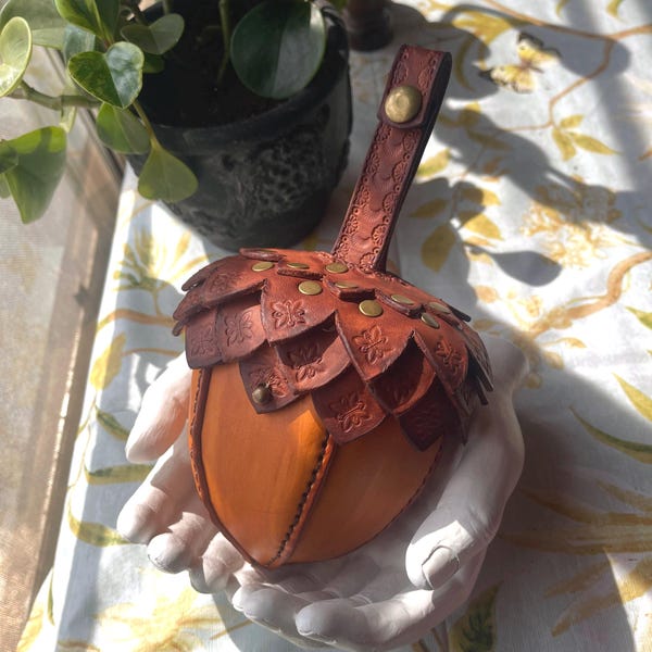 Leather Acorn Bag