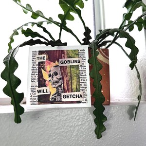 May include: A green zig-zag plant in a terracotta pot with a sticker that reads "THE GOBLINS WILL GETCHA" featuring a skull and flames. The plant sits on a white windowsill.