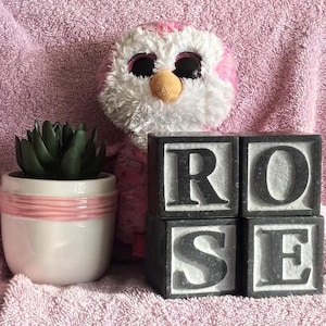 Pode incluir: Um vaso de cerâmica branco e rosa com uma faixa rosa contém uma planta suculenta verde. Quatro blocos cinzentos soletram "ROSE". Um brinquedo de pelúcia de coruja rosa e branco está no fundo, tudo sobre uma superfície rosa.
