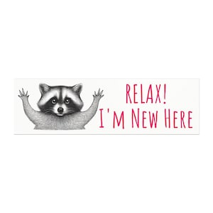 Relax Raccoon Bumper Magnet - Fun Car Decor, Relaxation Quotes, New Home Gifts, Animal Lovers, Nature Enthusiasts, New Student Driver