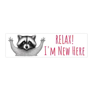 Relax Raccoon Bumper Stickers - Fun Car Decor, Relaxation Quotes, New Home Gifts, Animal Lovers, Nature Enthusiasts, New Student Driver