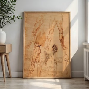 May include: A framed anatomical art print featuring sepia-toned sketches of human leg musculature and skeletal structures, including detailed drawings of the lower limbs and pelvic bone accompanied by handwritten notes in a historical style.