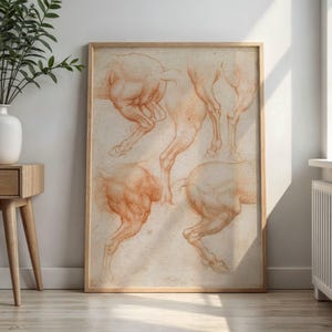 Op de afbeelding: Een ingelijste kunstdruk met een reeks gedetailleerde anatomische schetsen van paardenbenen, uitgevoerd in roodbruin sanguine krijt op een lichtbeige achtergrond. De compositie toont meerdere aanzichten van paardenbenen in beweging.