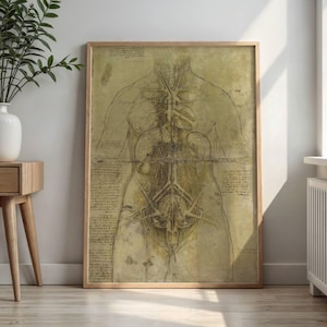 May include: A framed anatomical drawing of the human torso, showcasing internal organs and skeletal structure. The artwork is rendered in sepia tones, with detailed line work and handwritten notes. The wooden frame adds a classic touch to the educational art piece.