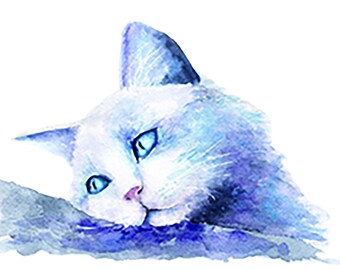 Blue Cat