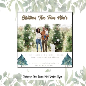 christmas tree farm holiday mini session template psd marketing board INSTANT DOWNLOAD for elements or cs