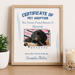 Editable Pet Adoption Certificate, Printable Dog or Cat Keepsake, Canva Template, Instant Download PDF
