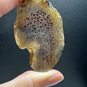 Montana Moss Agate slab