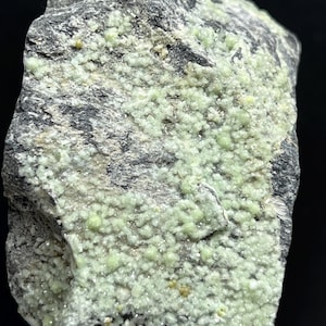 May include: A close-up of a mineral specimen featuring a dark gray rock base covered with light green, granular formations. The surface has a rough texture, with the green areas appearing slightly raised and clustered.