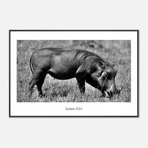 Può includere: Stampa incorniciata in bianco e nero di un facocero che bruca in erba alta. Il facocero è di profilo, con la testa china. La stampa è etichettata "Jeanne d'Art" in basso.