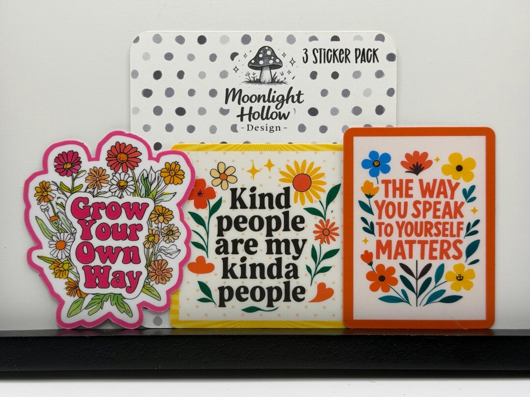 Affirmation Sticker Pack (3 Stickers) | Positive Quote Stickers | Cute ...