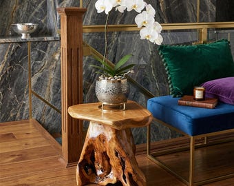 Taburete con forma de hongo hecho con raíz de cedro, soporte para plantas artesanal con borde natural, mesa auxiliar rústica, taburete de jardín de madera hecho con tocón de árbol.