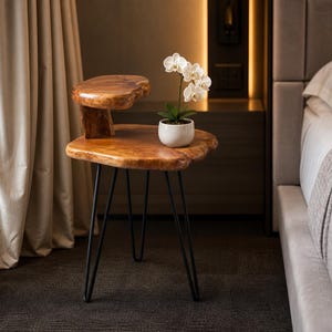 Live Edge Cedar Root 2-Tier Table, Rustic Plant Stand, Metal Hairpin Legs