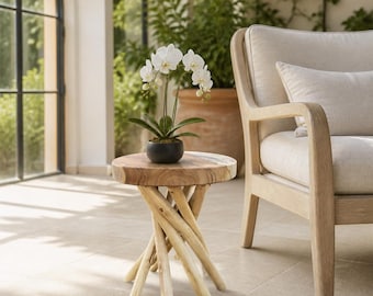 Teak Wood Branch End Table, Rustic Reclaimed Accent Table, Plant Stand