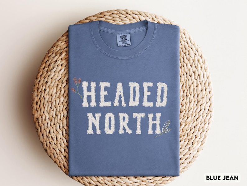 Unisex Headed North Tee, Comfort Colors Sad Bug Summer Shirt, NK Indie Folk Divide Concert Tee, Distressed Varsity Shirt, Vermont T-Shirt Blue Jean