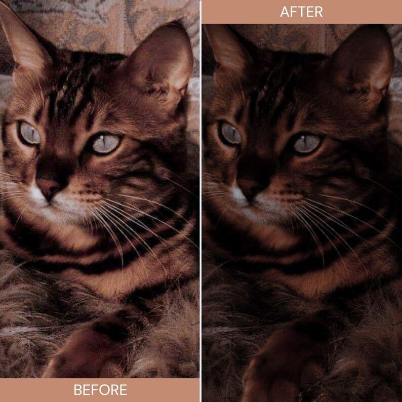 May include: A side-by-side comparison of a cat's face, labeled "BEFORE" and "AFTER." The cat has brown fur with dark stripes and light blue eyes. The "AFTER" image appears darker, with enhanced contrast.