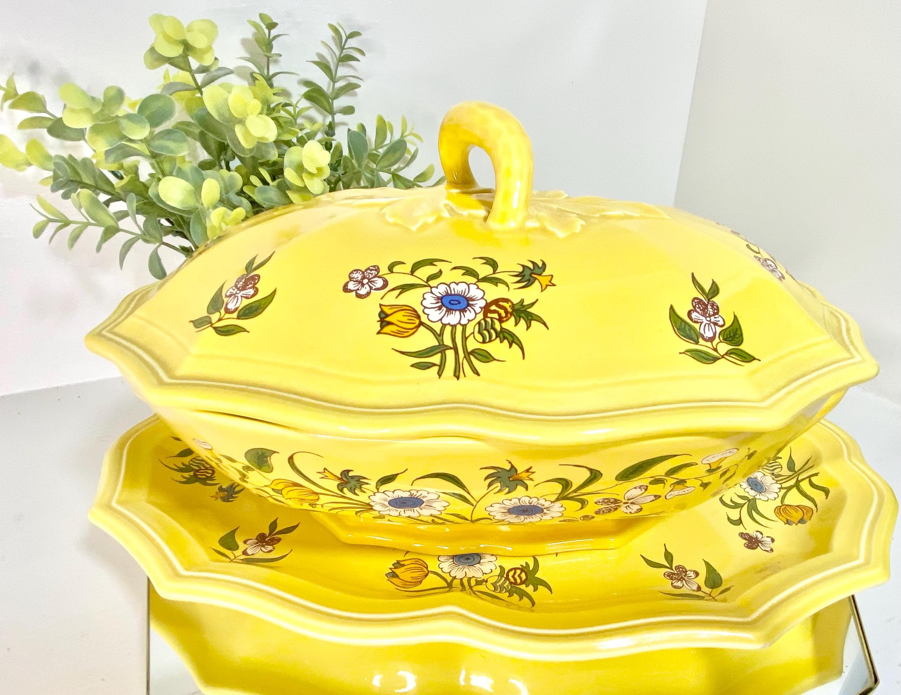 Vintage Marseille Salins Ceramic Terrine: Hand-painted Floral Soup