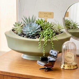 May include: A light green ceramic planter filled with various succulents and small black stones. A miniature black chair and a glass cloche with "1968" are on the wooden surface. A sign reads "FLORALINE 438".