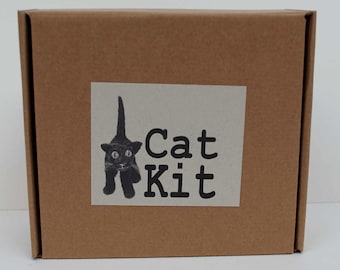 Needle felt a cat kit