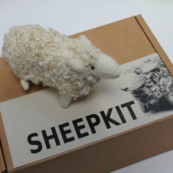 Needle felt a curly sheep kit with British wool fibres