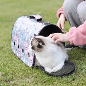 Cute Animal Costume Hoodie for Pets – Soft Cartoon Dog & Cat Clothes – Winter Pet Outfit
