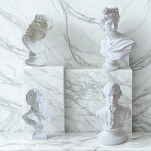 Könnte beinhalten: Vier weiße Gipsbüsten historischer Figuren werden vor einem Marmorhintergrund präsentiert. Die Büsten zeigen eine Frau mit fließendem Haar, einen Mann mit drapiertem Gewand und zwei weitere männliche Figuren mit detaillierten Gesichtszügen und Frisuren. Die Büsten stehen auf weißen Sockeln.