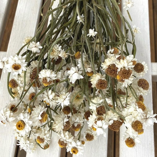 Small Bunch Flowers Etsy