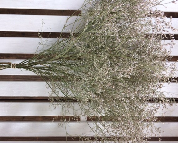 DRIED Flower Bunch SEA LAVENDER Flower Bunch natural Dried Flower bouquet  Prim Wedding flowers rustic floral Decor Farmhouse