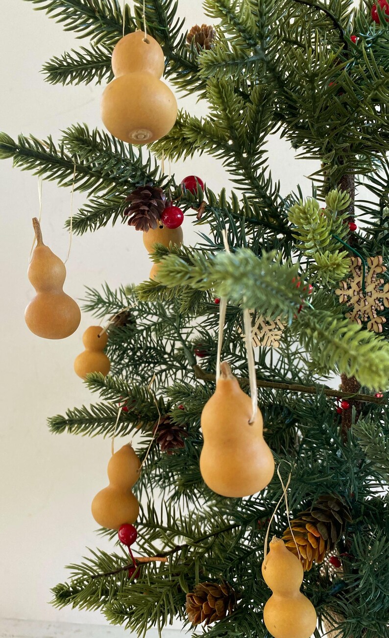 Set 8 Mini Gourd CHRISTMAS TREE ORNAMENTS Primitive Dried Farmhouse