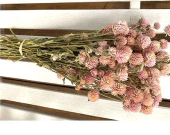 Dried pale pink Globe Amaranth Flower Bunch Wedding Flowers  Gomphrena bouquet  Natural flower bunch country Dried Flowers prim shabby chic