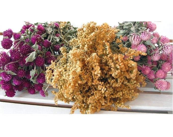 Dried Flower Color COLLECTION Floral Lovely for Wedding Prim Etsy