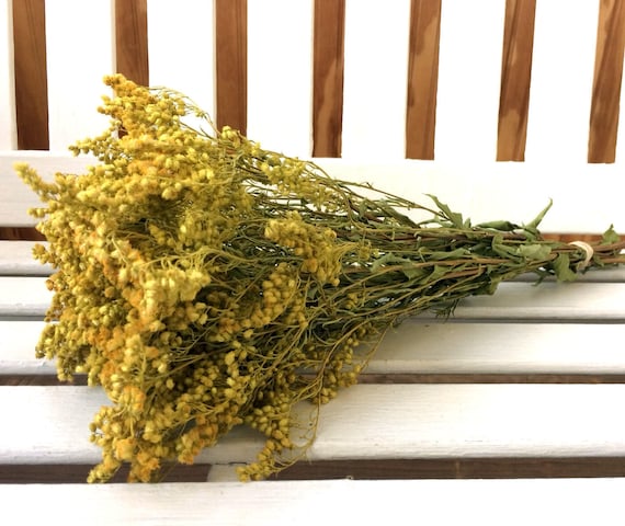 Gold Dried Flowers 