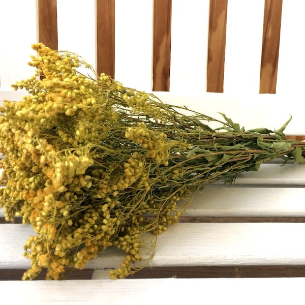 Dried Flowers, Goldenrod Flower Bunch Gold Yellow Solidago  Rustic Farmhouse flowers Wedding Country filler Natural Dried Flower Bouquet