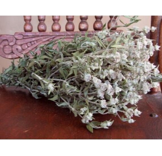 Dried Flowers FRAGRANT Natural Dried Gray Green MOUNTAIN MINT Etsy