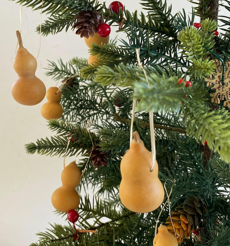 Set 8 Mini Gourd CHRISTMAS TREE ORNAMENTS Primitive Dried Farmhouse