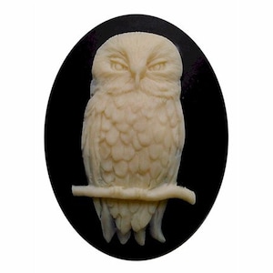 May include: A cream-colored owl cameo, carved in relief, is set against a black oval background. The owl is perched on a branch, with detailed feather textures and a focused expression. The cameo is a classic piece of jewelry.