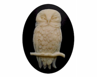 1pc 40x30mm Owl cameo Bird  cabochon halloween jewelry supply gothic cameos loose cameo Emo supplies  use to make  chokers magnets etc 825x