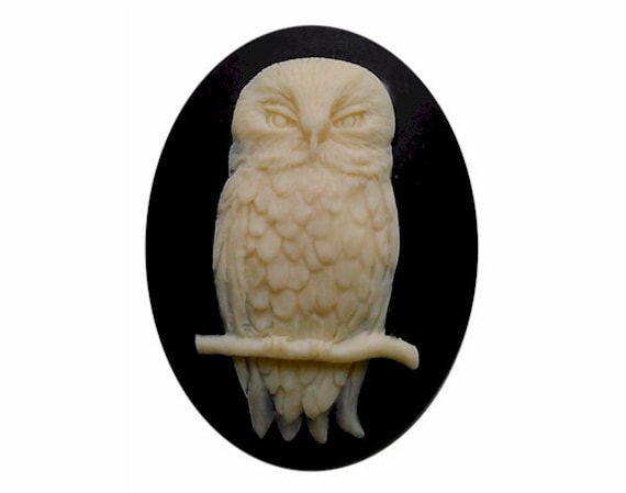 1pc 40x30mm Owl cameo Bird  cabochon halloween jewelry supply gothic cameos loose cameo Emo supplies  use to make  chokers magnets etc 825x