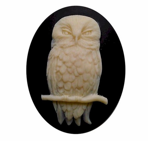 40x30mm Owl cameo mystical Bird cabochon halloween jewelry supply gothic cameos loose cabachon supplies DIY gift necklace ring decor   825x