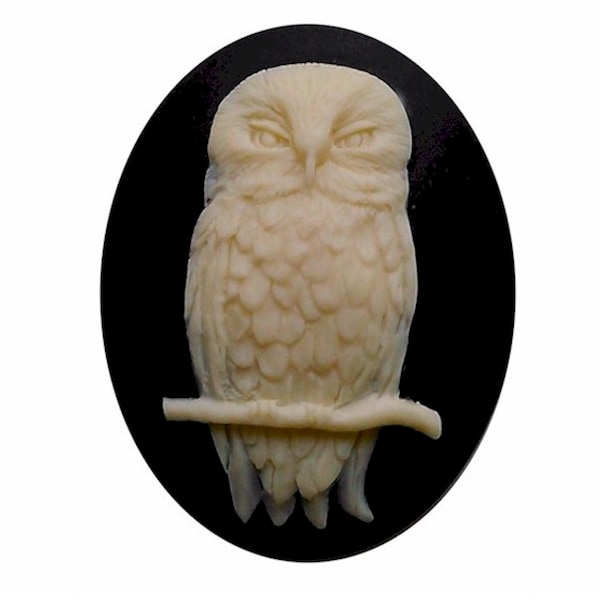 40x30mm Owl cameo mystical Bird cabochon halloween jewelry supply gothic cameos loose cabachon supplies DIY gift necklace ring decor   825x