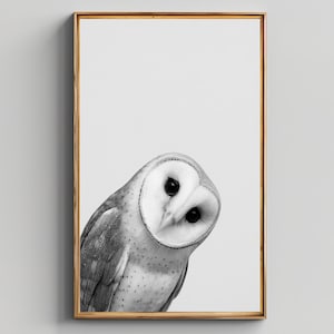 Barn Owl Black and White Wall Art – Cute Wildlife Bird Print, Minimalist Woodland Decor, Nursery Animal Poster, Digital Download Artwork
