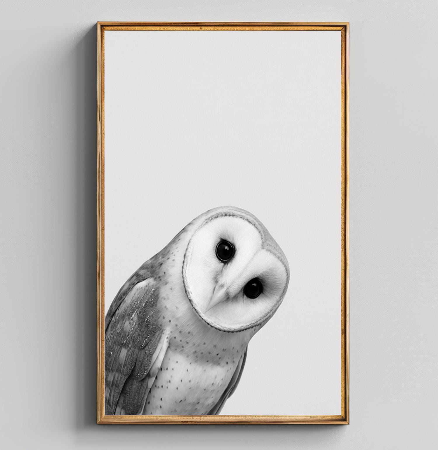 Barn Owl Black and White Wall Art – Cute Wildlife Bird Print, Minimalist Woodland Decor, Nurse