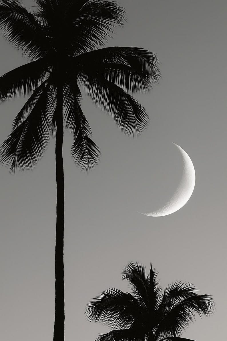 Palm Trees and Moon Black and White Wall Art – Minimalist Tropical ...
