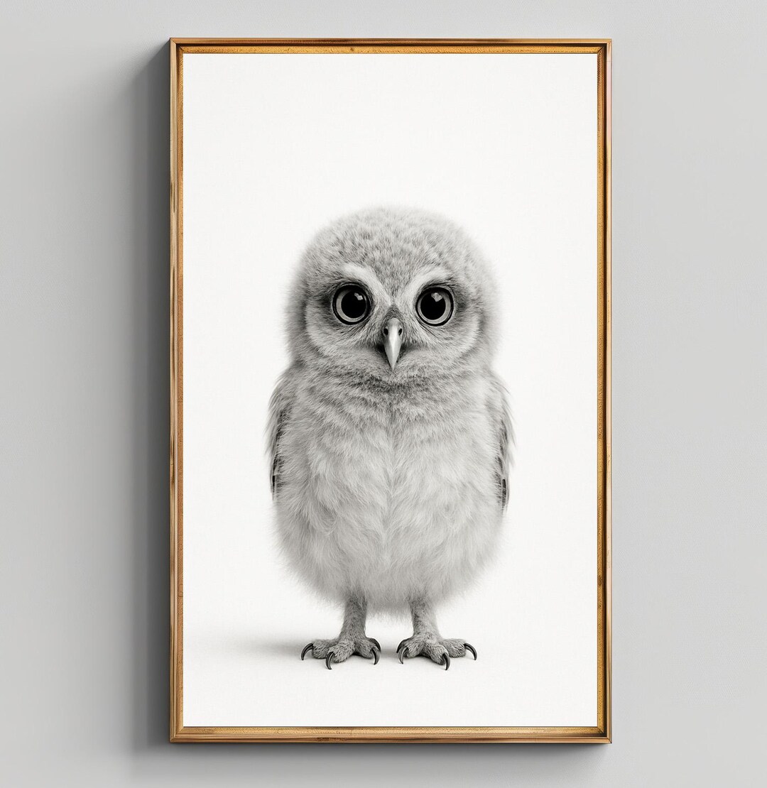 Baby Owl Black and White Wall Art – Cute Fluffy Nursery Animal Print ...